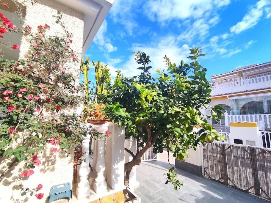 Rincon Mediterraneo Gran Alacant Eksteriør bilde